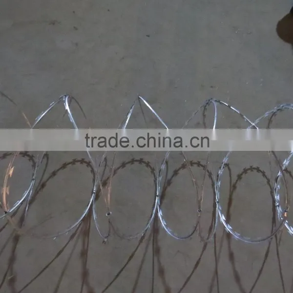 Motto Barbed Wire Price photo-5