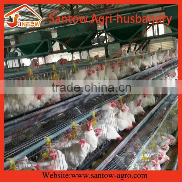 Chicken Use Welded Wire Chicken Layer Cages Poultry Farm Egg Layer Cage House Coop photo-5