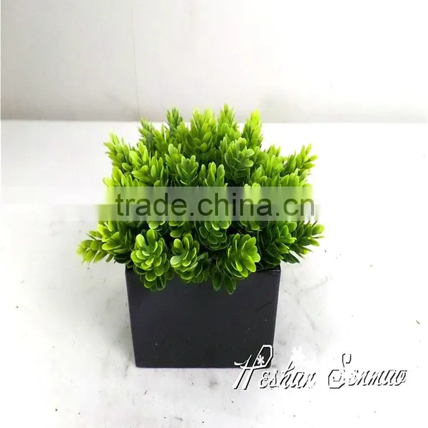 China Supplier Wholesale 2016 New Design Artificial Plant Bonsai for Bonsai With Competitive Price photo-5