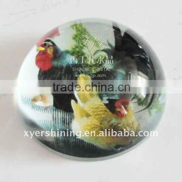 Clear Glass Image Paperweight Glass Crafts