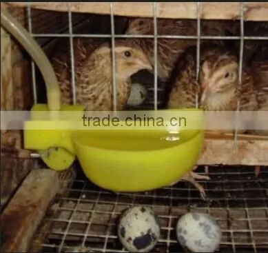 Quail Farm Automatic Drinker and Feeder Equipment For Sale photo-2