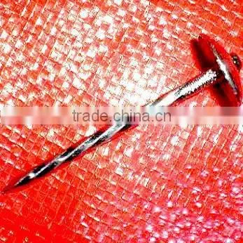 2.5" South African Market Twisted Nails photo-4