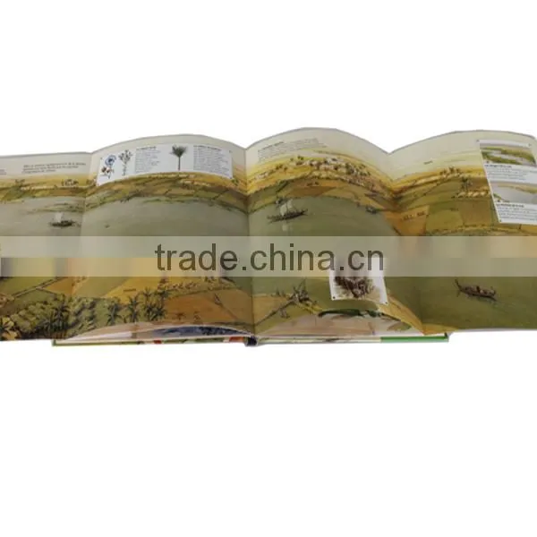Professional Photo Album Printing, Coloring Photo Book Printing photo-6
