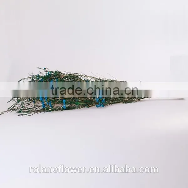 Fresh Cut Blue Decorative Flowers Wintersweet From Kunming photo-4