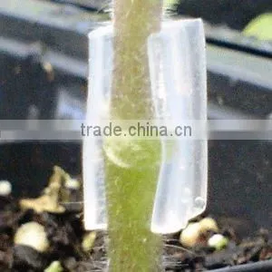 Grafting Clip