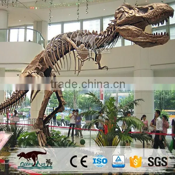 OA-SD-L100 Quality Fossil Replica Museum Dinosaur Skeleton photo-3