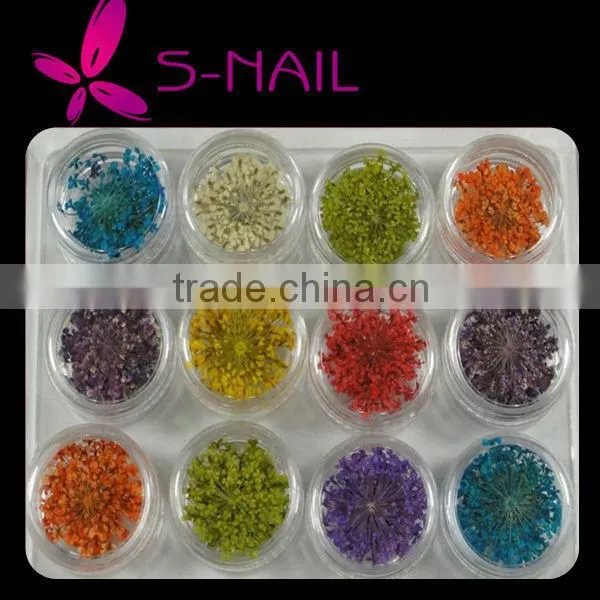 Natural Dried Flower Decoration , Nail Art Dried Flowers