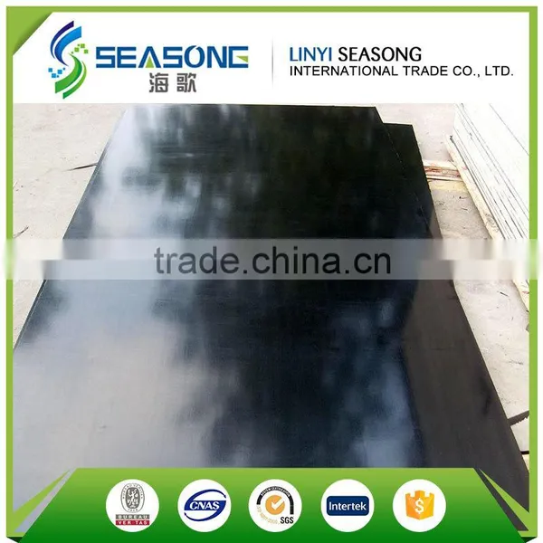for Overseas Market Film Faced Plywood for Construction photo-3