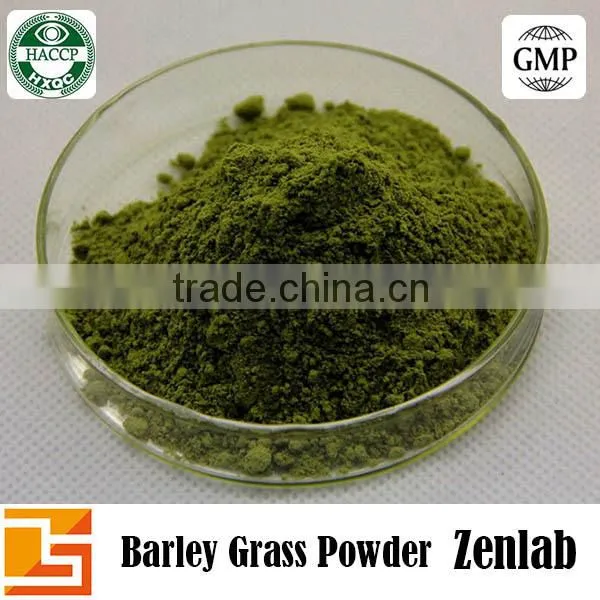 Best Selling Natural Green Barley Grass Powder photo-3