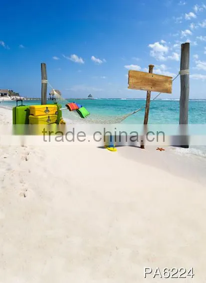 Digital Backdrop For Photo Studio, Scenic Photograph Studio Background