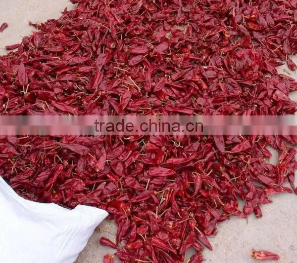 Hot Chillies photo-2