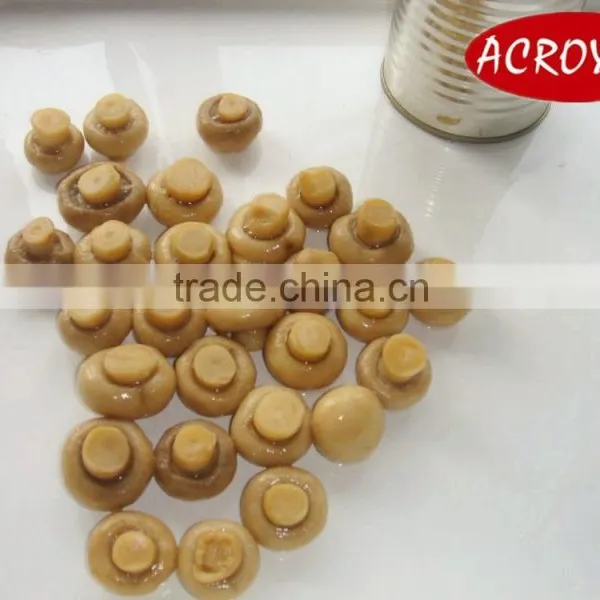 Chinese High Quality Canned Fresh Mushroom Whole photo-2
