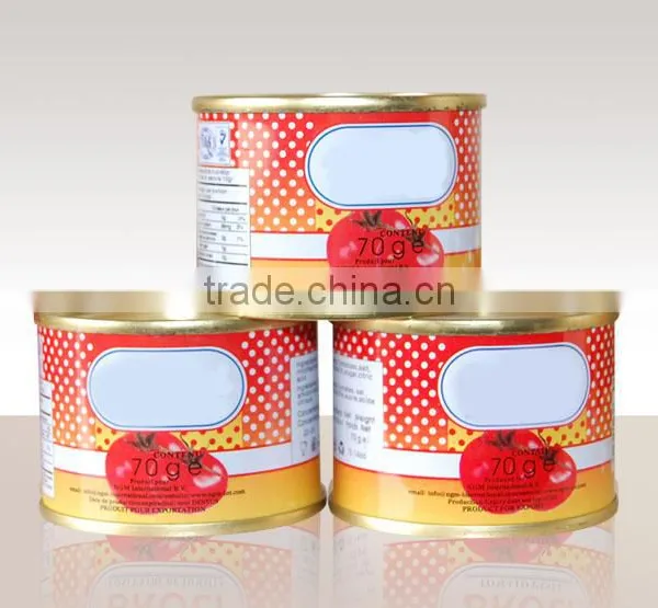 Made in China OEM ODM Ketchup Export Saudi Arabia Canned Beads In Tomato Sauce 425g 227g Beads In Tomato Paste photo-3