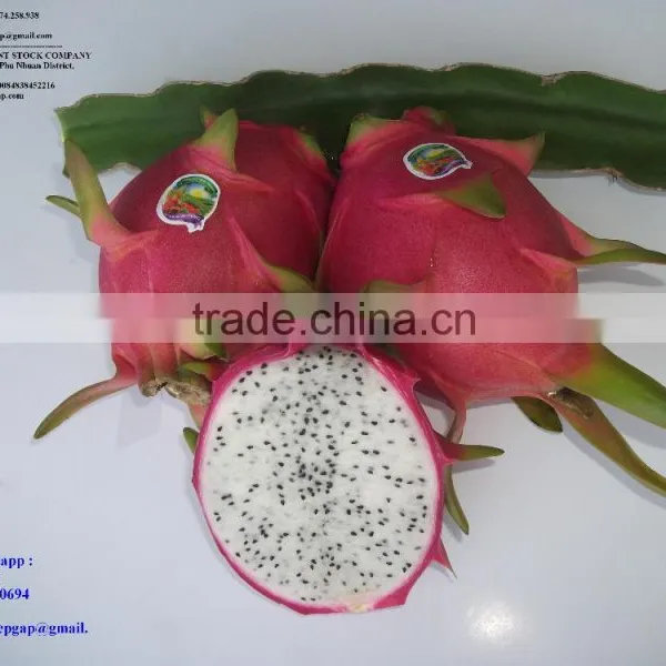 100% Natural Fresh Dragon Fruit From Vietnam-Ms Ha 84974258938 photo-6