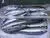HORSE MACKEREL FISH photo-4