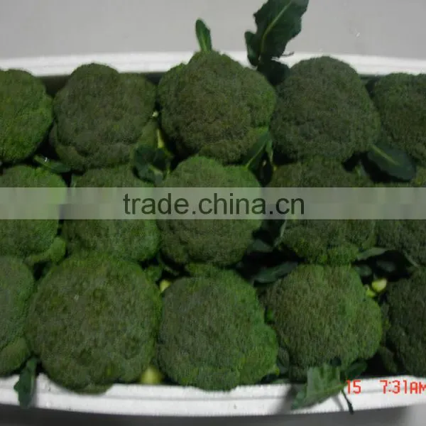 Green Broccoli From China Frozen Broccoli for Sale photo-3