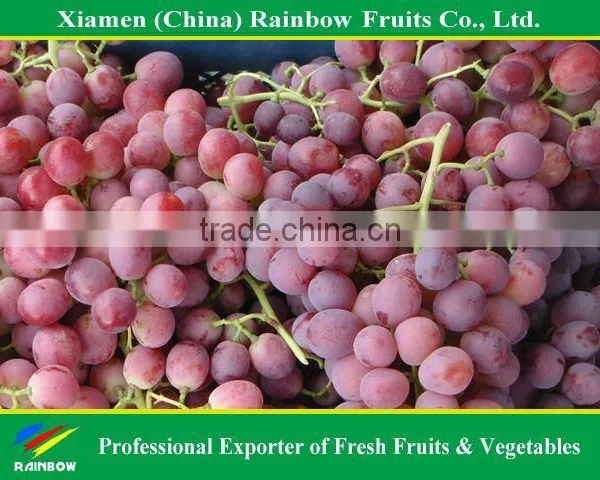 Grape Punnet