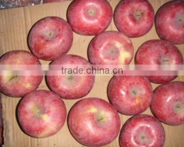 Fresh Qinguan Apple photo-5