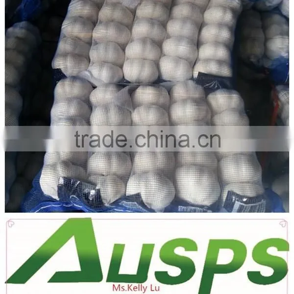 Fresh Chinese 3p Pure White Garlic photo-2