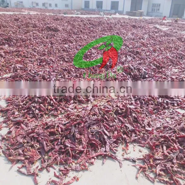 New Chinese Dry Paprika Pods photo-4