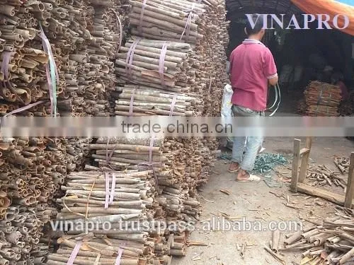 VIETNAM THIN SPLIT CASSIA photo-3