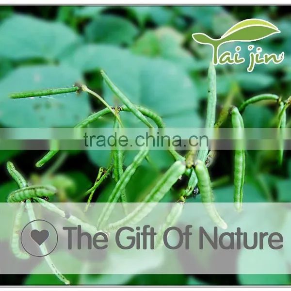High Quality Green Mung Bean Sprout,grade a Green Mung Bean Price photo-5