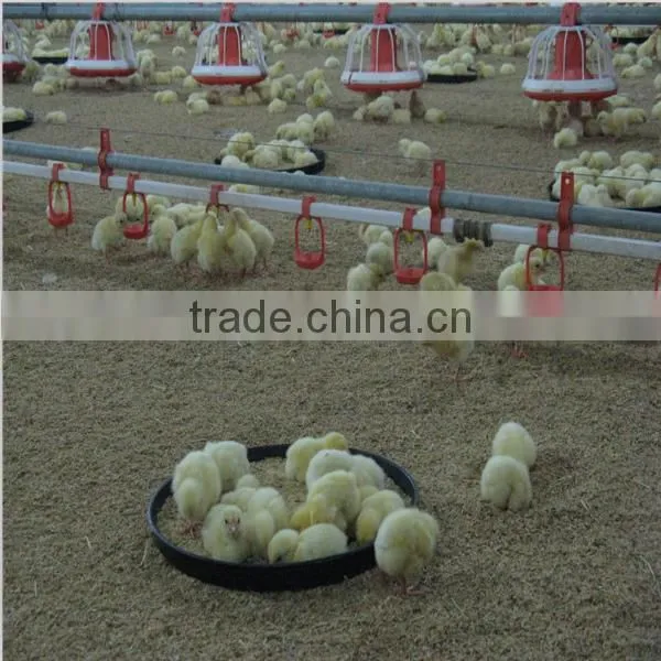 Automatic Chicken Feeder Poultry Chicken Feeding System photo-3