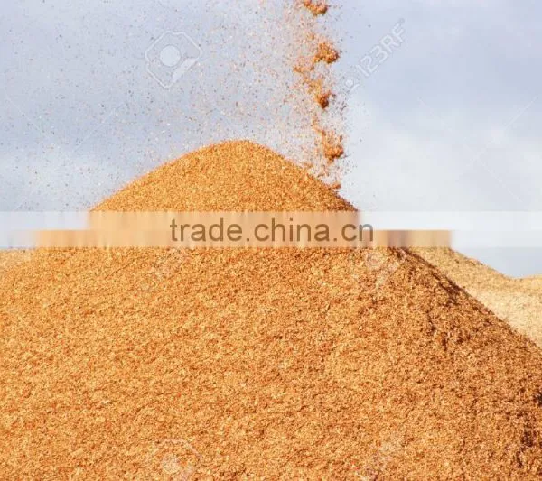 WOOD CHIPS 100% WOOD( ACACIA, EUCALYPTUS, PINE, RUBBER) BULK AND CHEAP PRICE photo-3