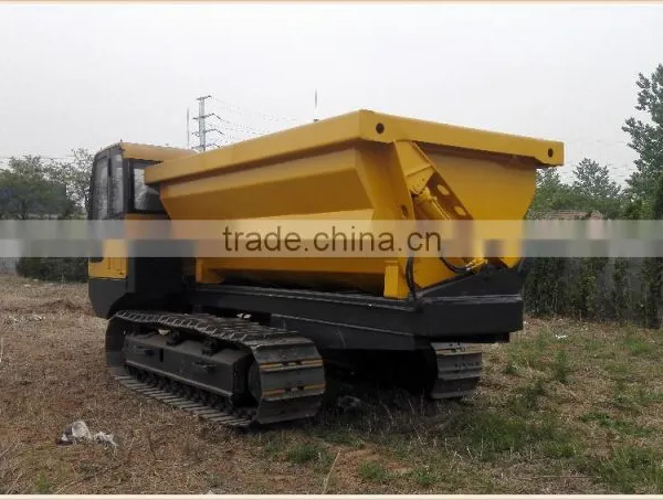 Supply China's Popular High Quality Hot Sales Crawler Trailer photo-5