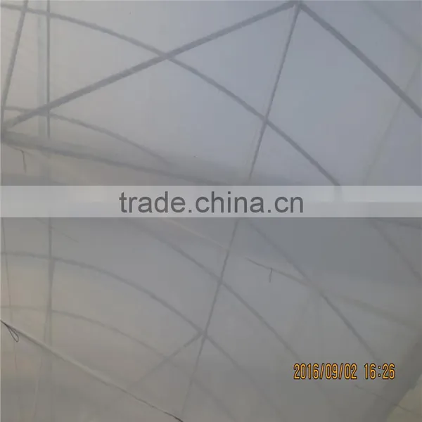 Agricultural Greenhouses Type Commercial Hydroponics Greenhouse photo-4