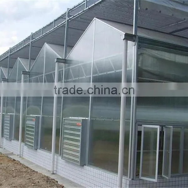 Light Steel Structure Greenhouse for Modern Agriculture photo-3