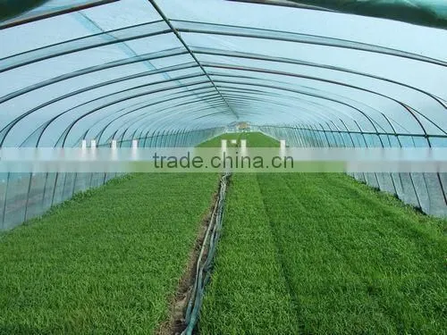 Poly Tunnel Vegatable Greenhouse Covered by Polythene Film photo-5