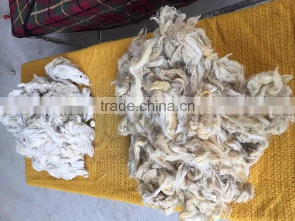 Sheep Wool / Raw Wool / Animal Hair ( Washed ) photo-3
