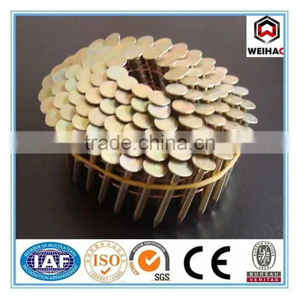 Pallet Coil Nail/Zince Coil Nails /Painted or Polished Coil Nail for Pallet
