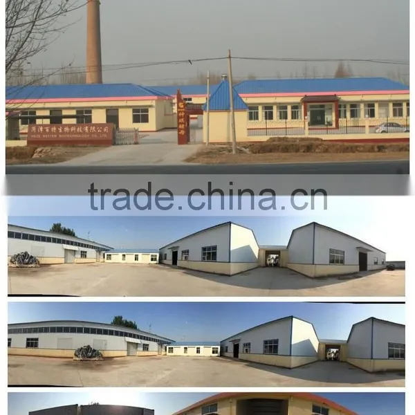 Instant Mango Juice Drink Powder Factory photo-5