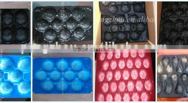 Made in China Disposable Plastic Fruit Tray photo-5