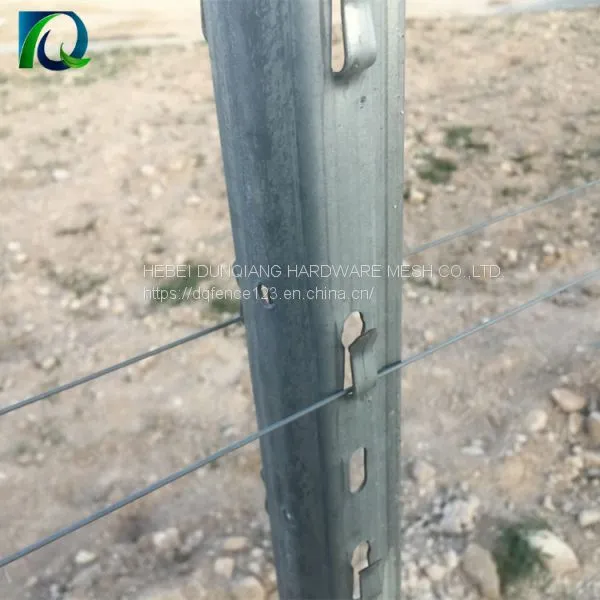 Metal Vineyard Grape Trellis Post