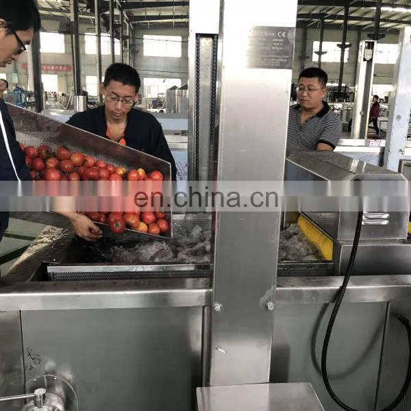 Can be Customized Vegetable Washing and Drying Machine Fruit and Vegetable Processing Line photo-5