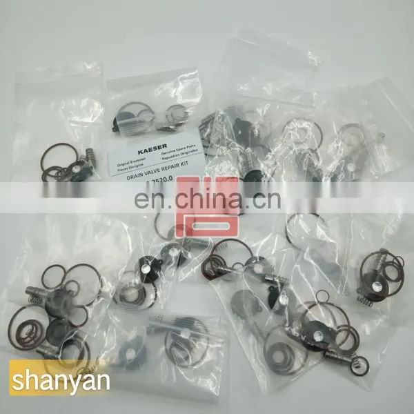Kaeser Drain Valve Kit Parts Air Compressor Parts Wholesale 8.2520.0 Kaeser photo-6