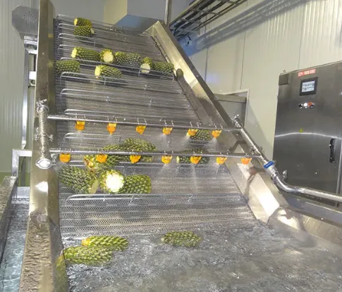 25T/H Automatic Pineapple Production Line photo-3