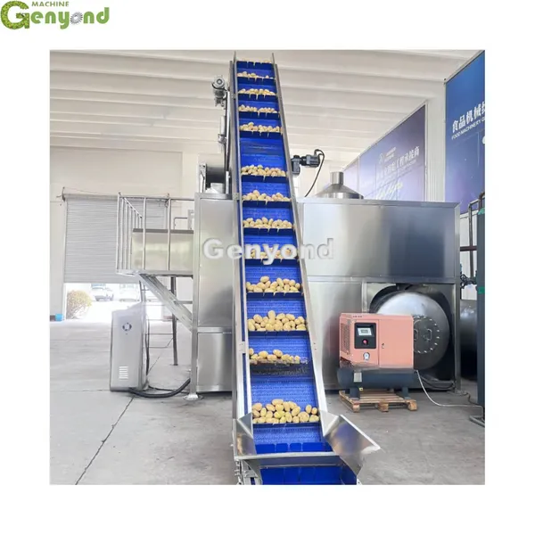 High Efficiency Potato, Tomato, Sweet Potato, Carrot Steam Peeling Machine photo-3