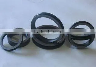 Oil Seal
