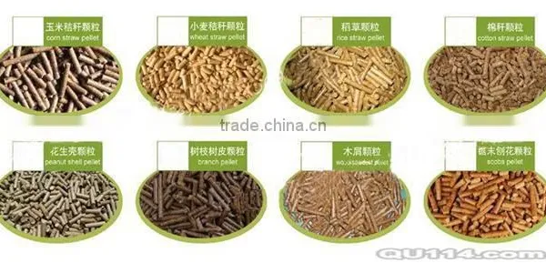 Biomass Pellet Machine Wood Pellet Machine Biomass Briquette Machine photo-5