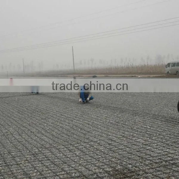 Biaxial Plastic Geogrid photo-4