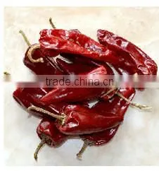 Small Hot Chili Hot Chilli Pepper Chaotian Chilli photo-4
