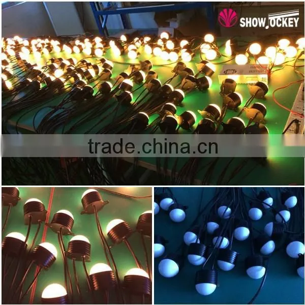 WS2801 Rgb Pixel 64mm 12V Decorative Led Lights photo-4
