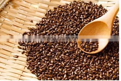 Cassia Tea/Cassia Tora Seed/Semen Cassiae Seeds/Cassia Tora Seeds From India - CTS photo-3