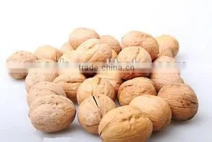 China Good Quality Walnut for Sale