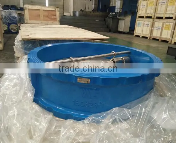 Double Disc Check Valve photo-2