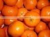 FRESH FRUITS photo-2